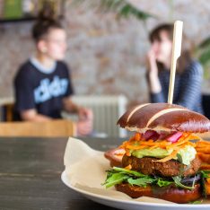 {{brizy_dc_image_alt imageSrc=